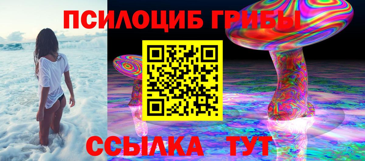 Галлюциногенные грибы Psilocybine cubensis Усолье-Сибирское