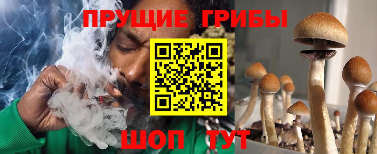 Усолье-Сибирское  Галлюциногенные грибы мухоморы  Вход с VPN 